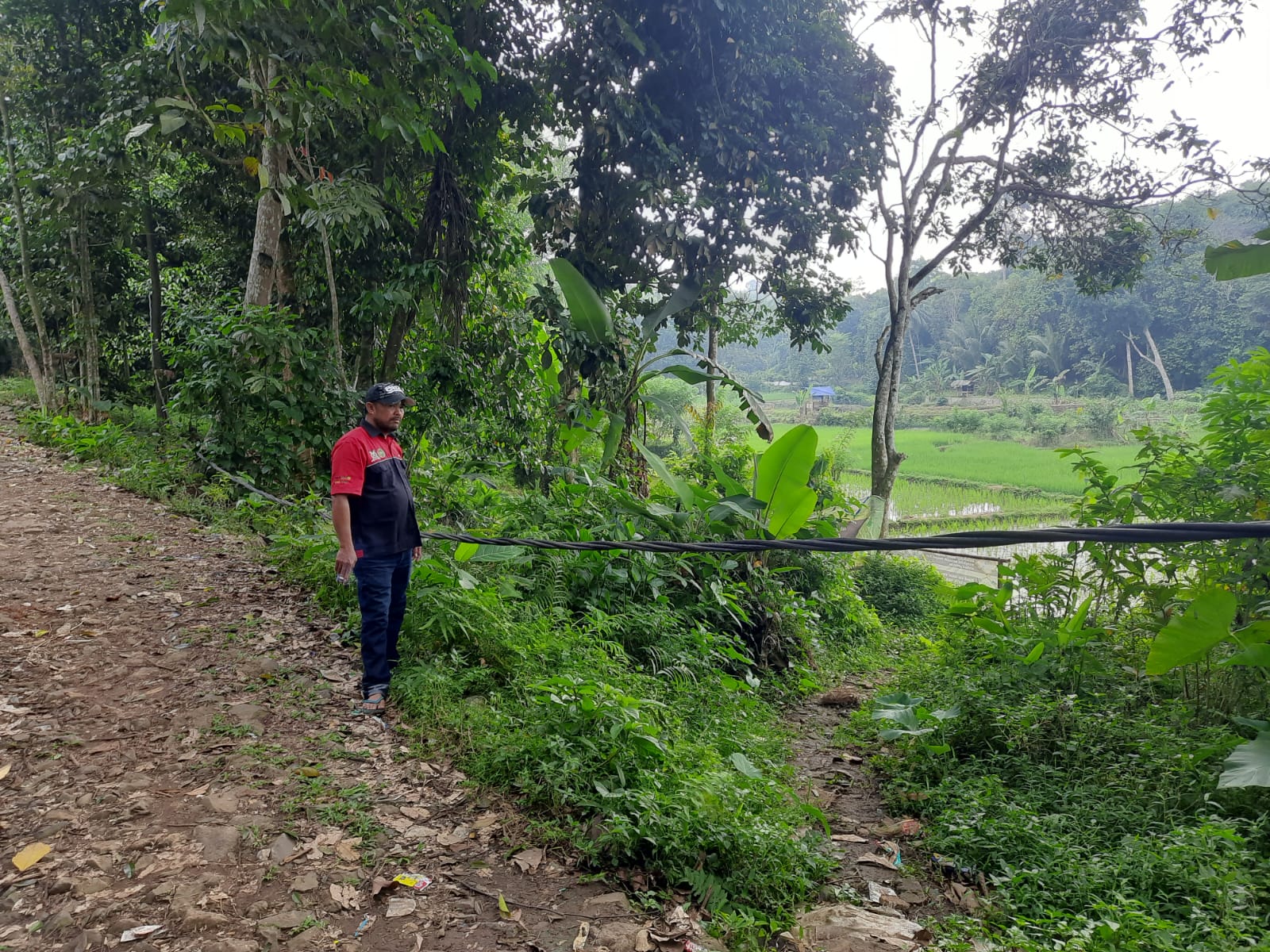 Foto: Kondisi Kabel PLN di Lokasi.